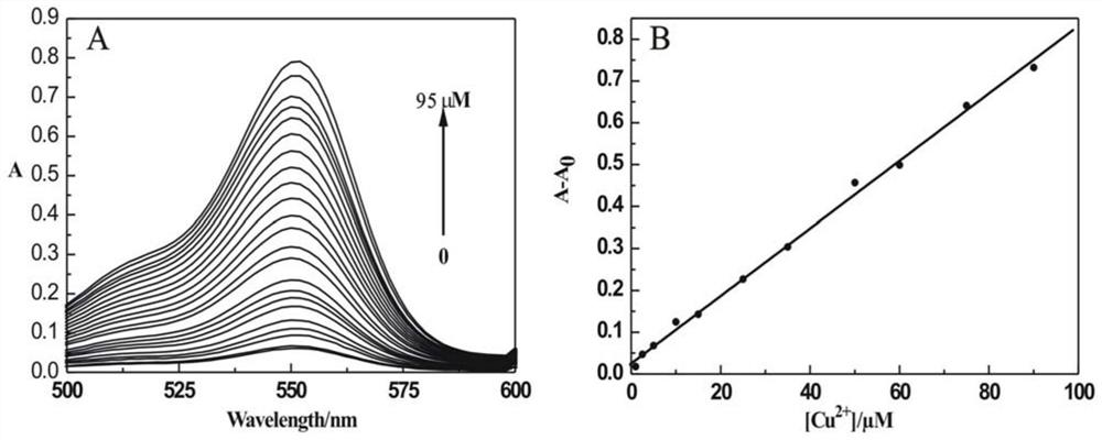 Preparation and application of aminoacylmethyl-(2-methylaminofuran)rhodamine amide derivative