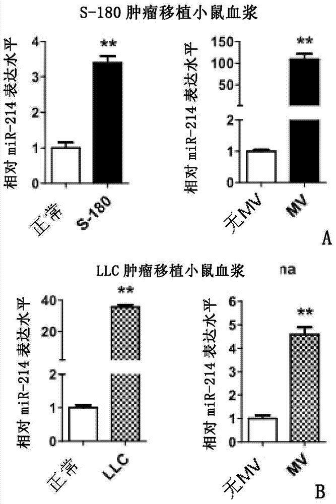 Application of miRNA-214 inhibitor for inhibition of regulatory T cells