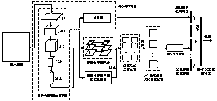 Fine-grained image classification method based on feature pyramid and global average pooling