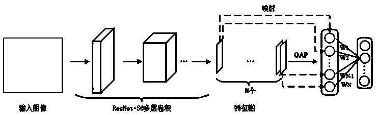 Fine-grained image classification method based on feature pyramid and global average pooling