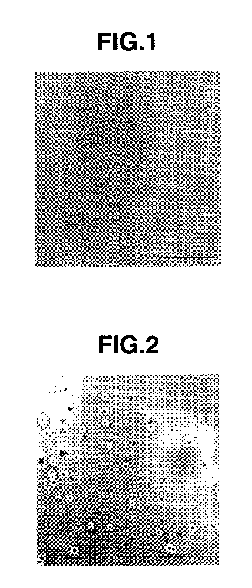 Charge-transporting varnish