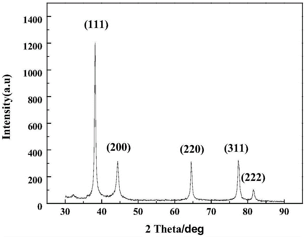 Biosynthesis method of nano Ag