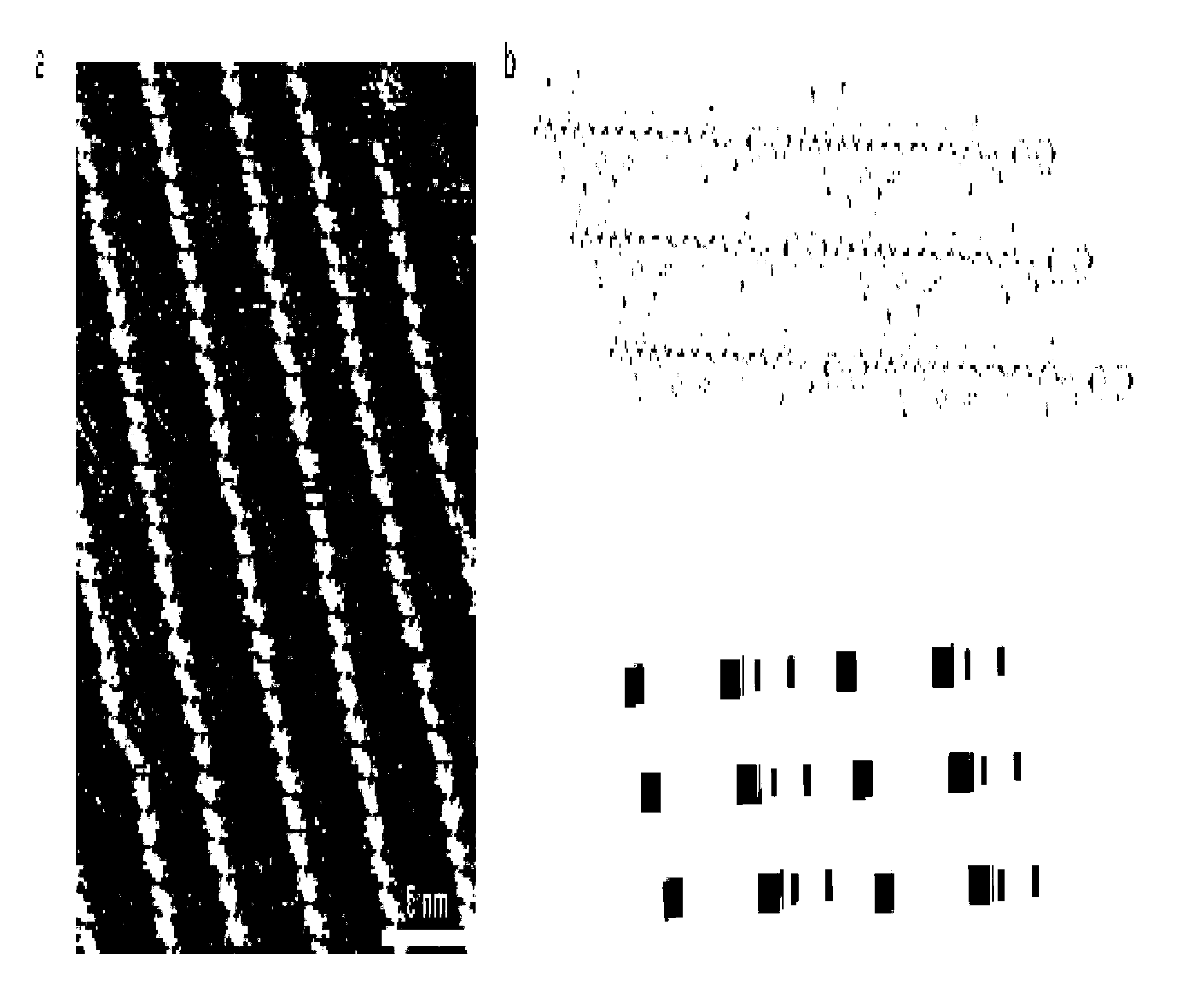 Method for forming two-dimensional polypeptide nanosheets by regulating assembly of polypeptides with organic micromolecules