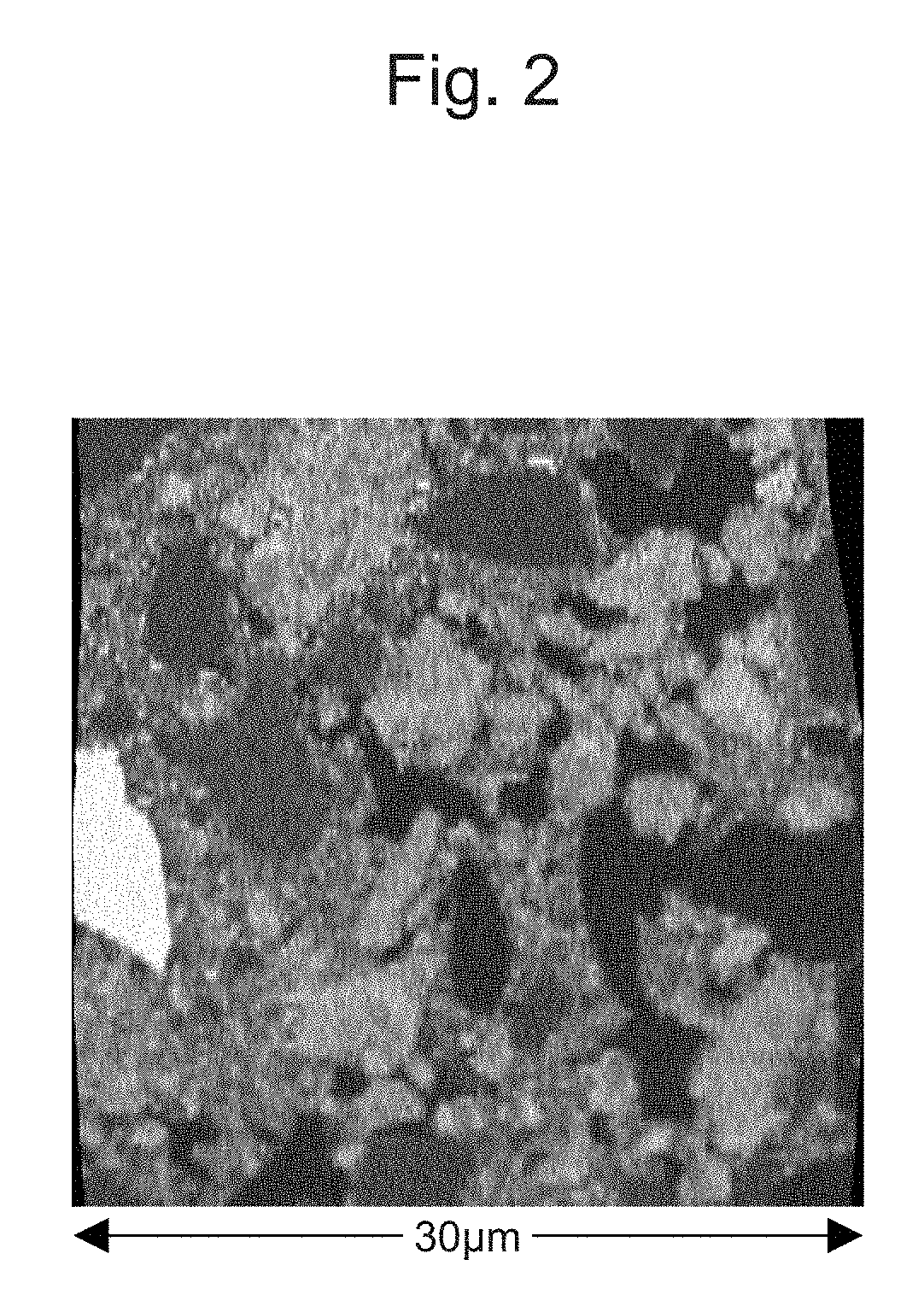 Exhaust gas purification catalyst