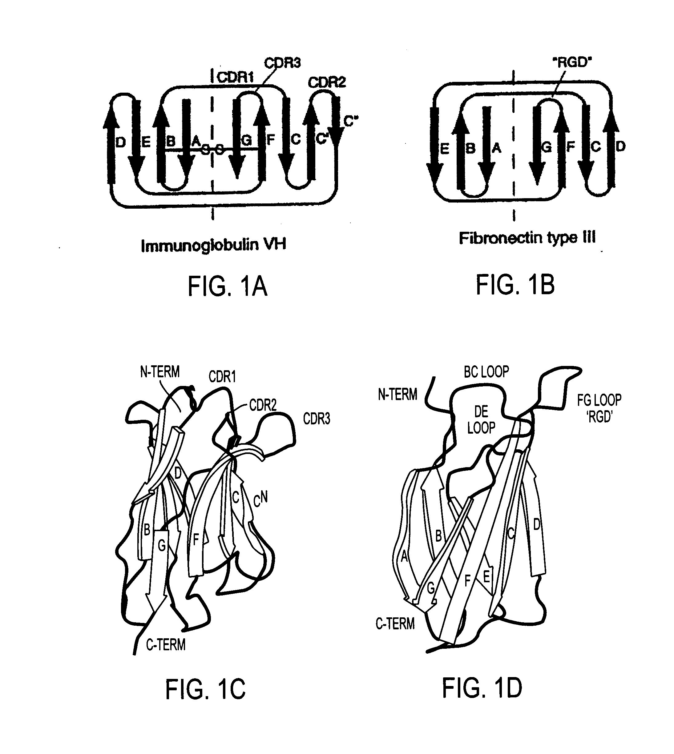 Artificial antibody polypeptides