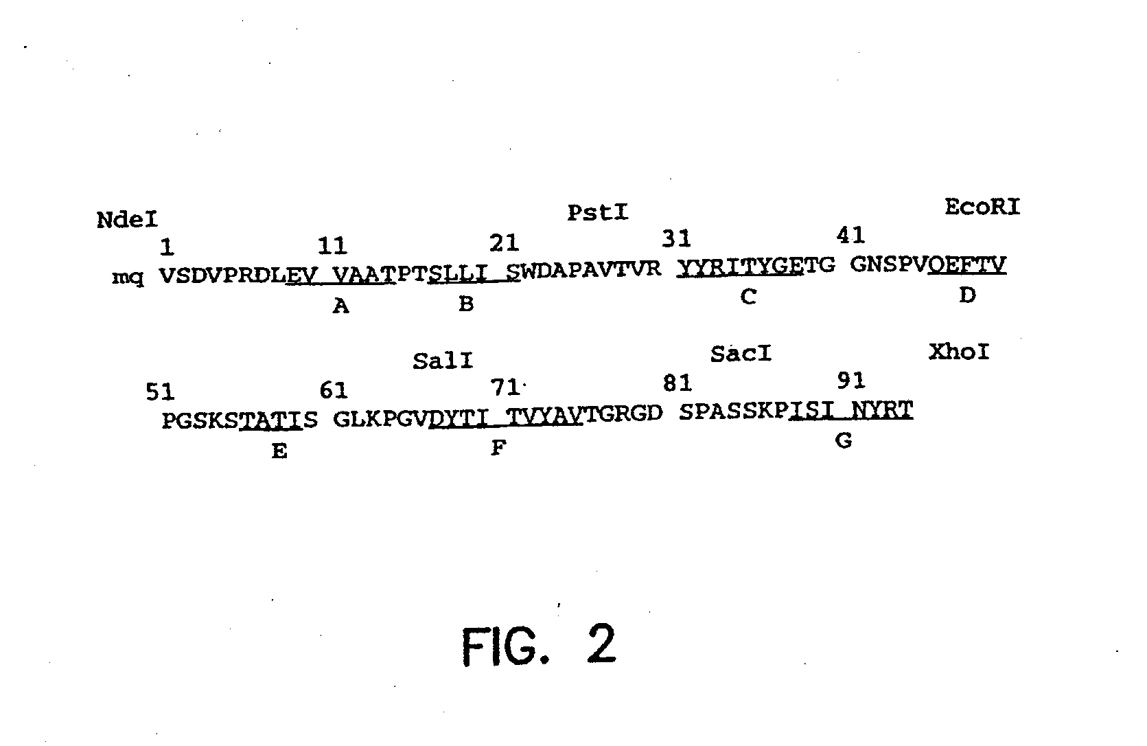 Artificial antibody polypeptides