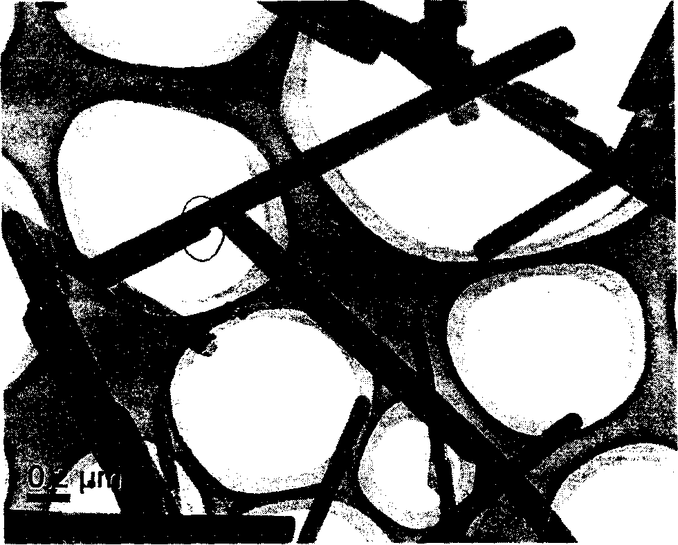 Molybdenum trioxide laminated nanometer bar and preparation method