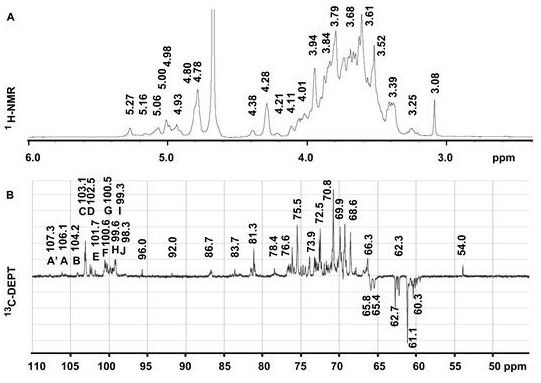 Alkali-extracted heteropolysaccharide from fruit body of Cordyceps militaris and its preparation method and application