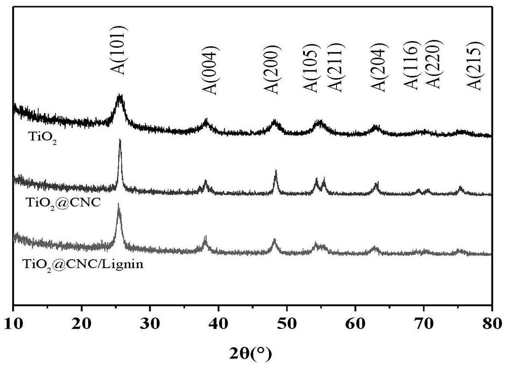 Preparation method of nano-cellulose-induced titanium dioxide composite ultraviolet shielding material