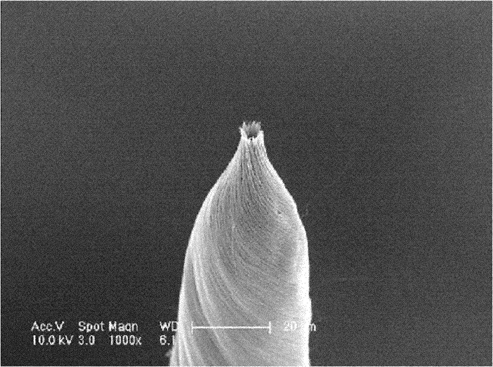 Electron emitter and electron emitting element