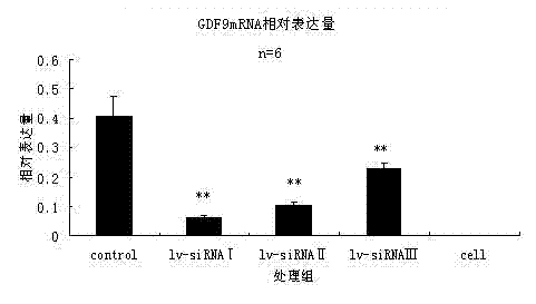 SiRNA interfering GDF9 gene expression and application thereof