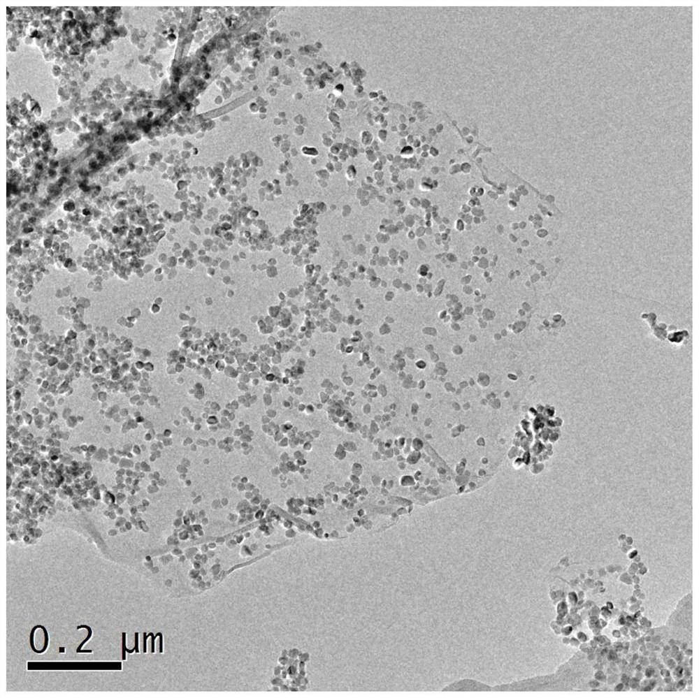 Preparation method of interface polarization enhanced TiO2/RGO wave-absorbing material