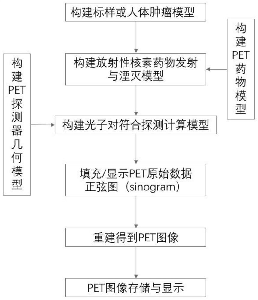 Positron emission tomography simulation method and system based on numerical calculation