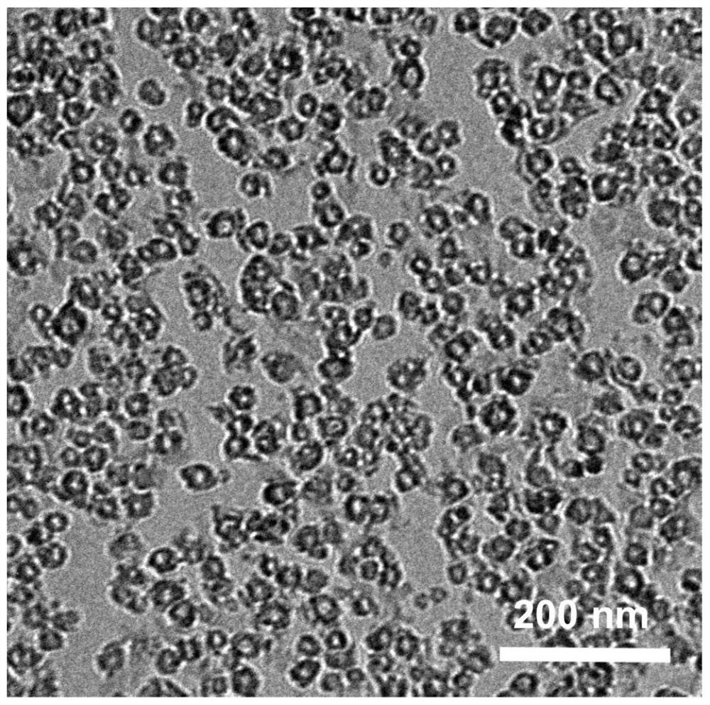 A kind of preparation method of small size hollow mesoporous silica nanoparticles