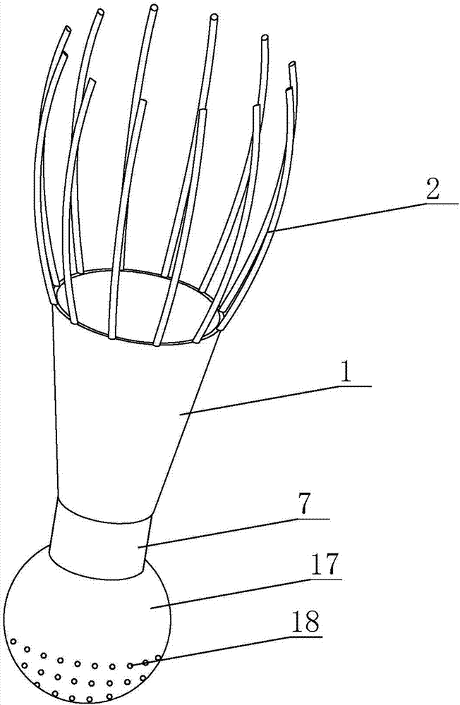 Fetal head aspirator