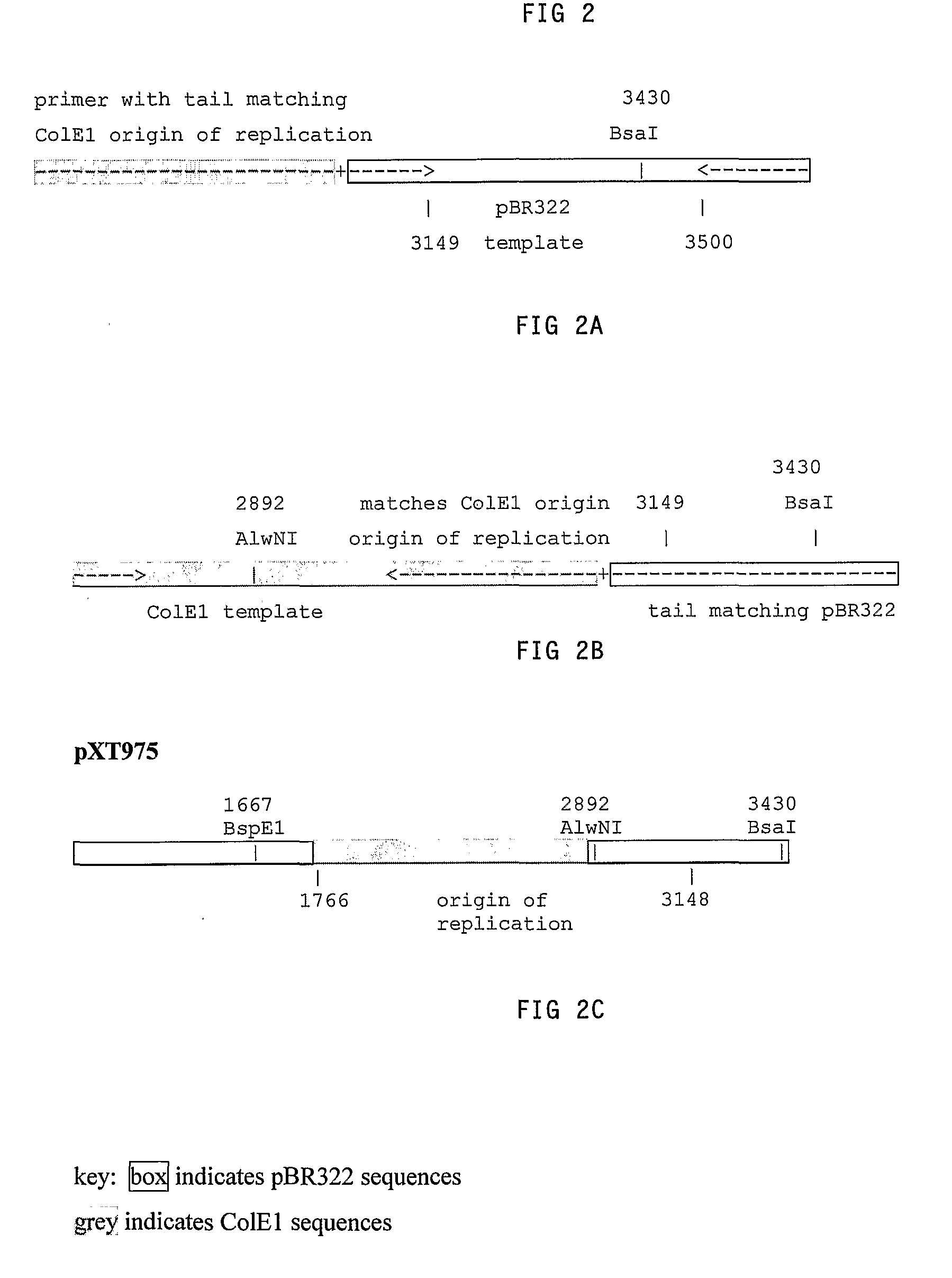 Hybrid portable origin of replication plasmids