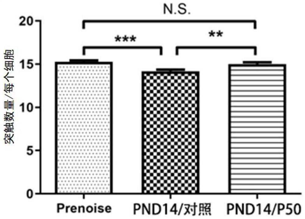 Application of p276-00 in preparation of medicine for preventing and treating noise-induced hearing loss