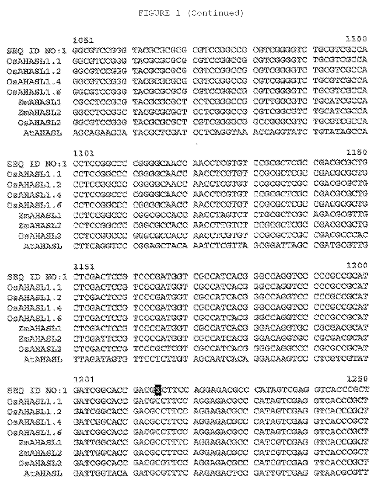 Herbicide-resistant rice plants, polynucleotides encoding herbicide-resistant acetohydroxyacid synthase large subunit proteins, and methods of use