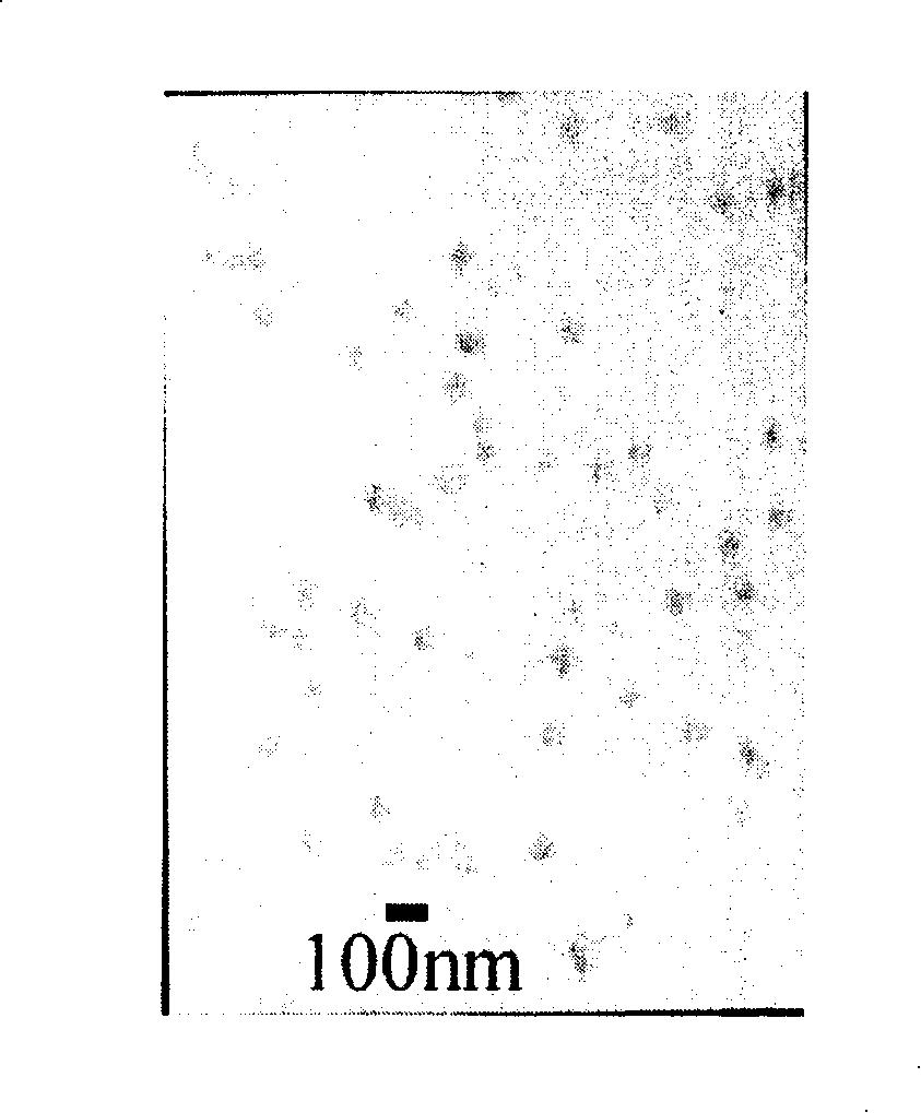 Preparation method of rare earth compound nano-particle