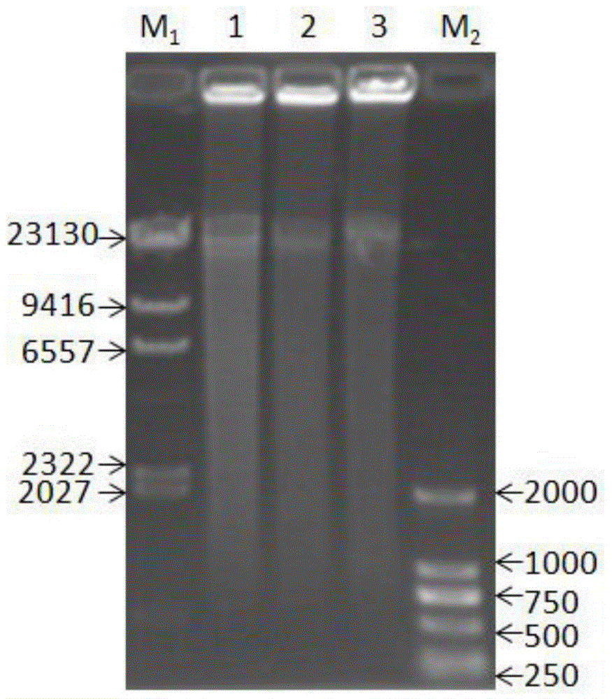 Method for obtaining target nucleic acid form mixed nucleic acid