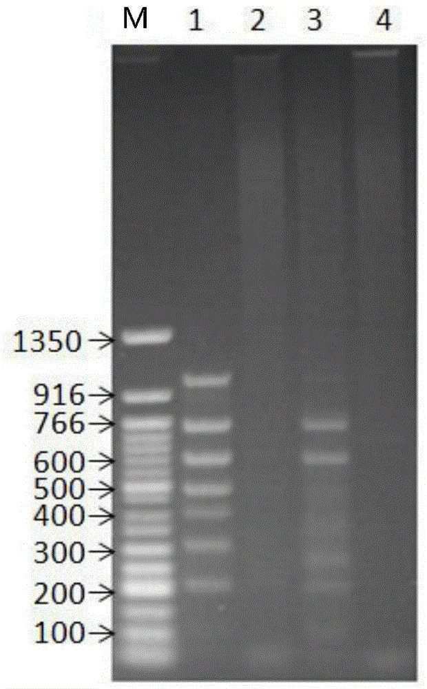 Method for obtaining target nucleic acid form mixed nucleic acid