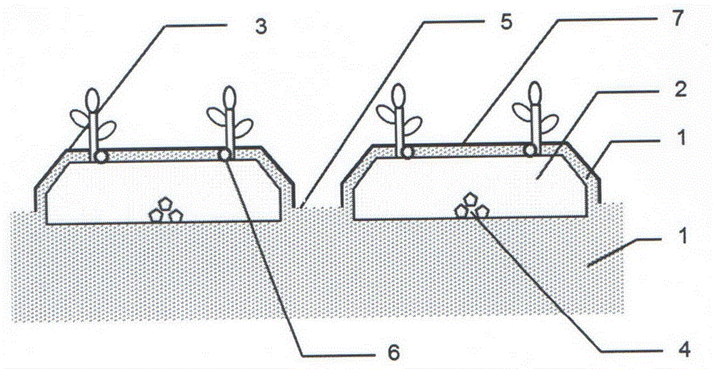 A method of soil preparation to improve soil production performance in greenhouses with sandy soil matrix