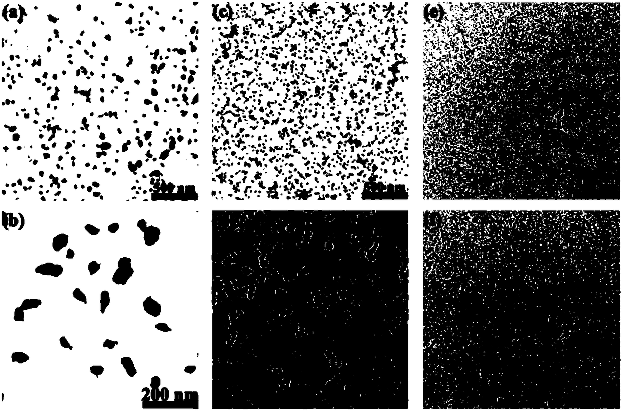 Preparation method of small-size transition metal chalcogenide two-dimensional nanosheet