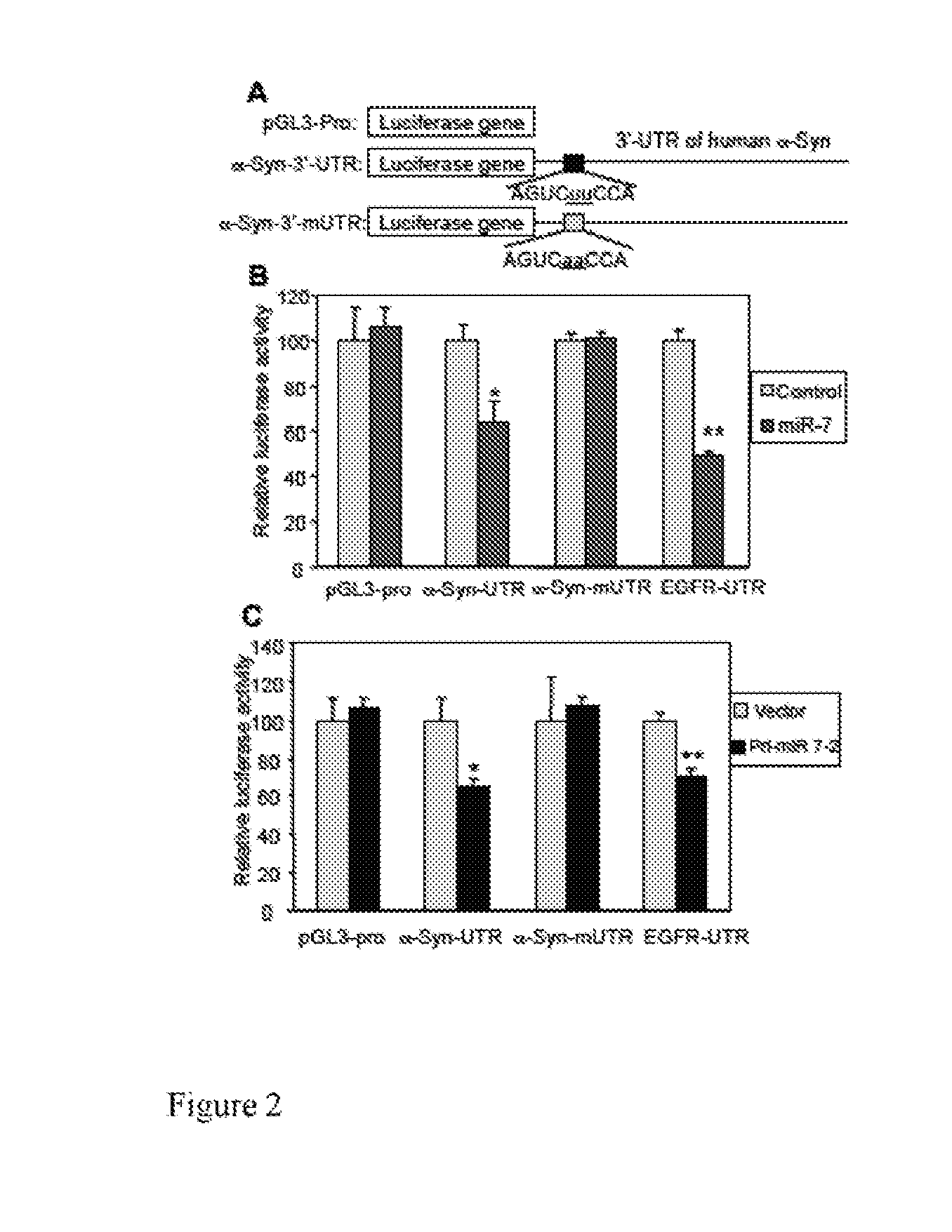 RNA Targeting in Alpha-Synucleinopathies