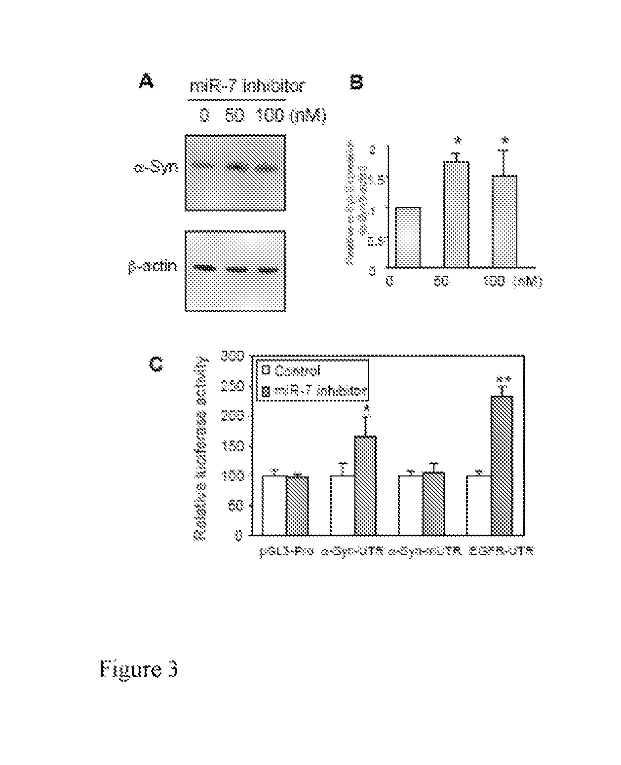 RNA Targeting in Alpha-Synucleinopathies