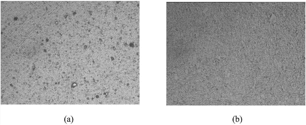 Preparation method of surface coating of high-speed steel screw tap