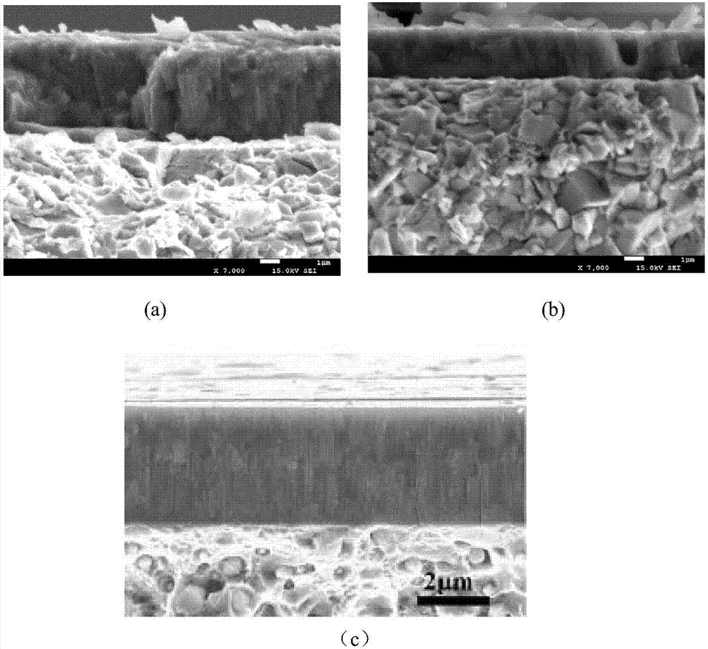 Preparation method of surface coating of high-speed steel screw tap