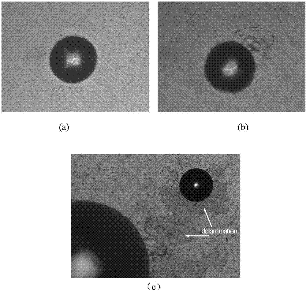 Preparation method of surface coating of high-speed steel screw tap