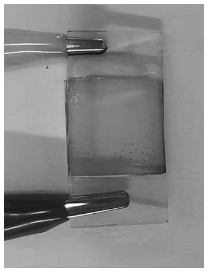 Electrochromic device capable of being cut at will and application