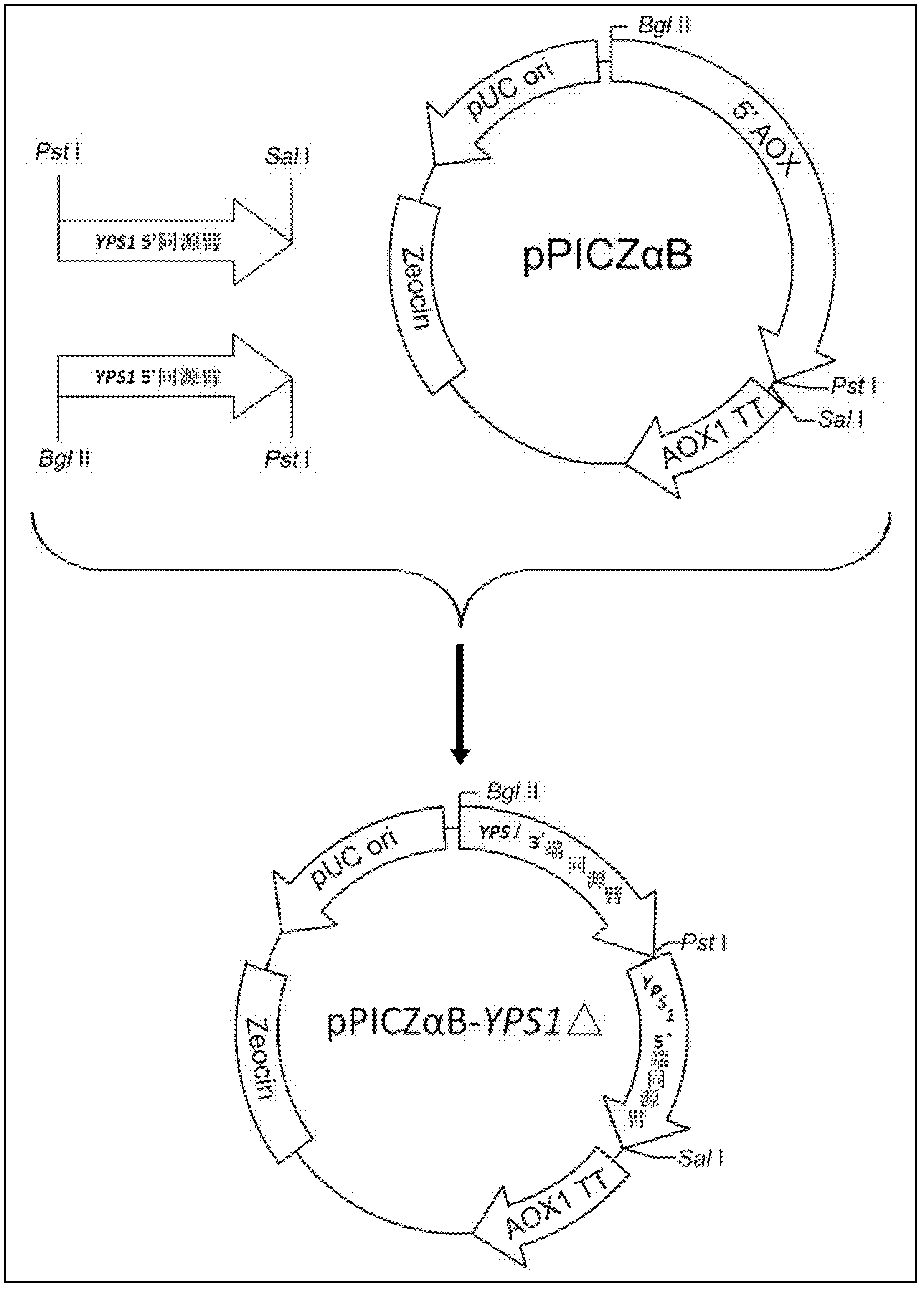 Method for preparing human serum albumin-human parathyroid hormone