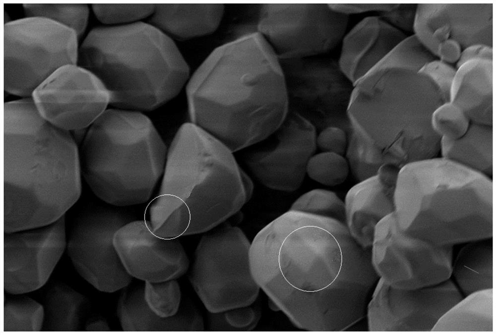 A fluorescent ceramic and its preparation method, light source device and projection device