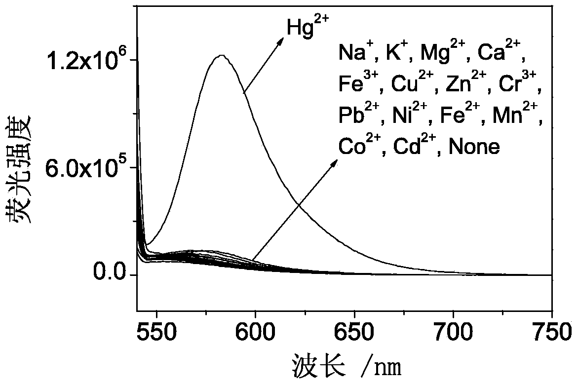 Fluorescent probe synthesized by rhodamine B, triethylene tetramine and phenyl isothiocyanate and preparing method and application thereof