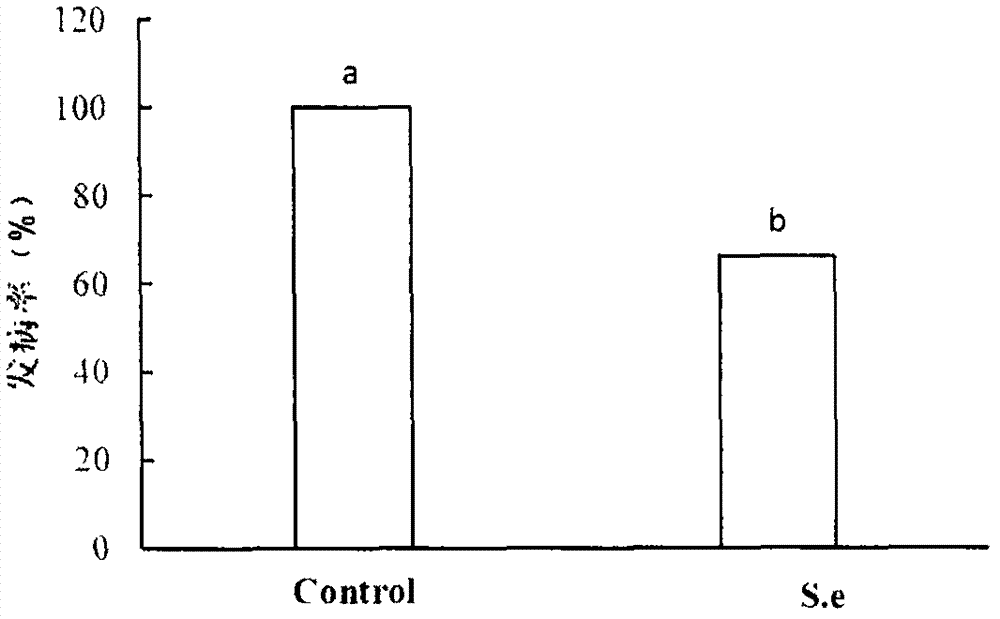 Saccharomyces ellipsoideus for preventing and treating postharvest diseases of fruits and vegetables and preparation and use methods thereof