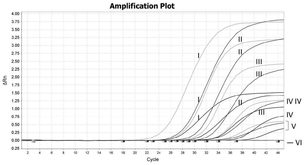 African swine fever virus wild strain and vaccine strain identification and detection kit