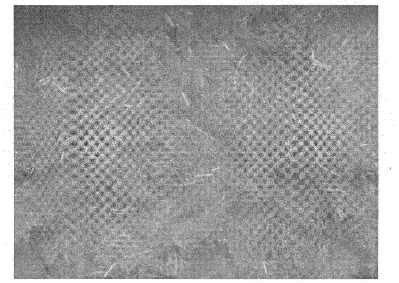 Method for preparing mesoporous needle-shaped tungsten carbide