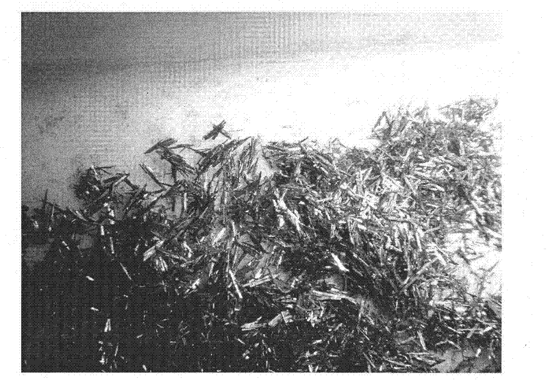 Method for preparing mesoporous needle-shaped tungsten carbide