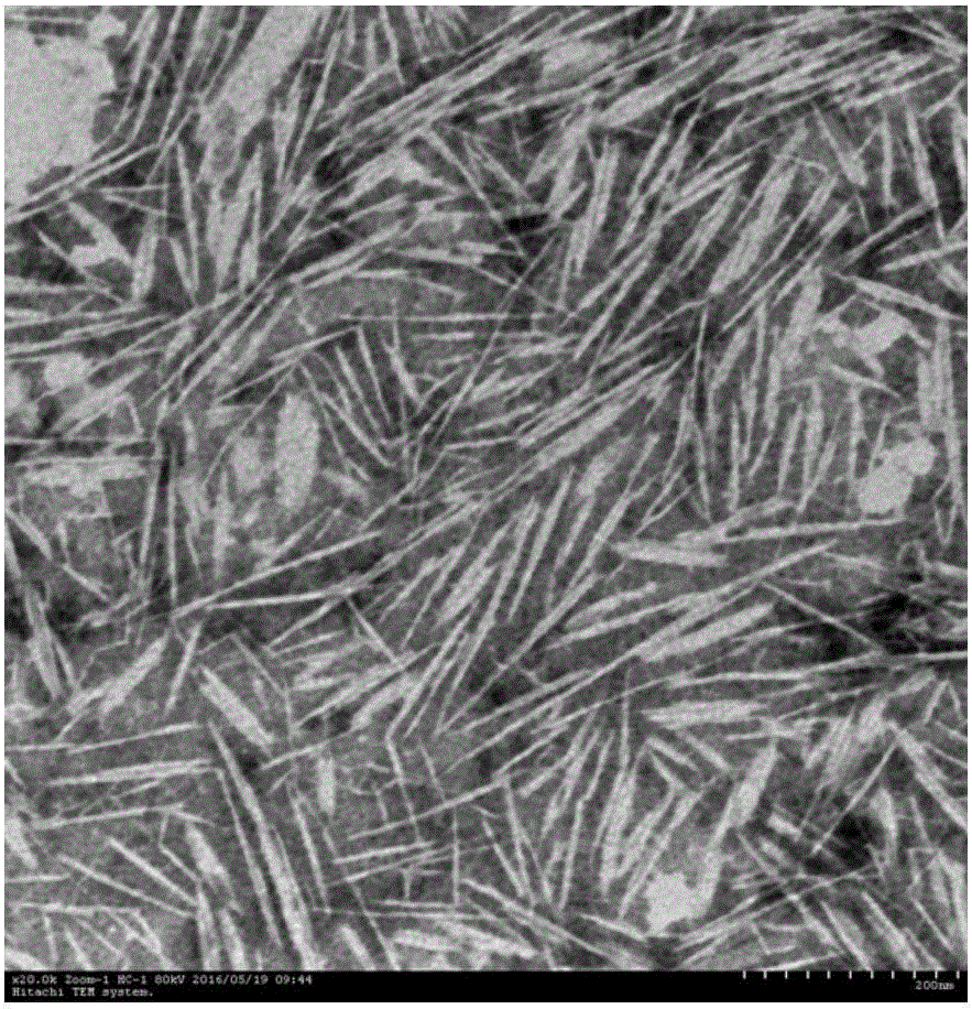 Method for preparing nanocellulose from low-strength ultrasonic-assisted amino acid ionic liquid and application of nanocellulose