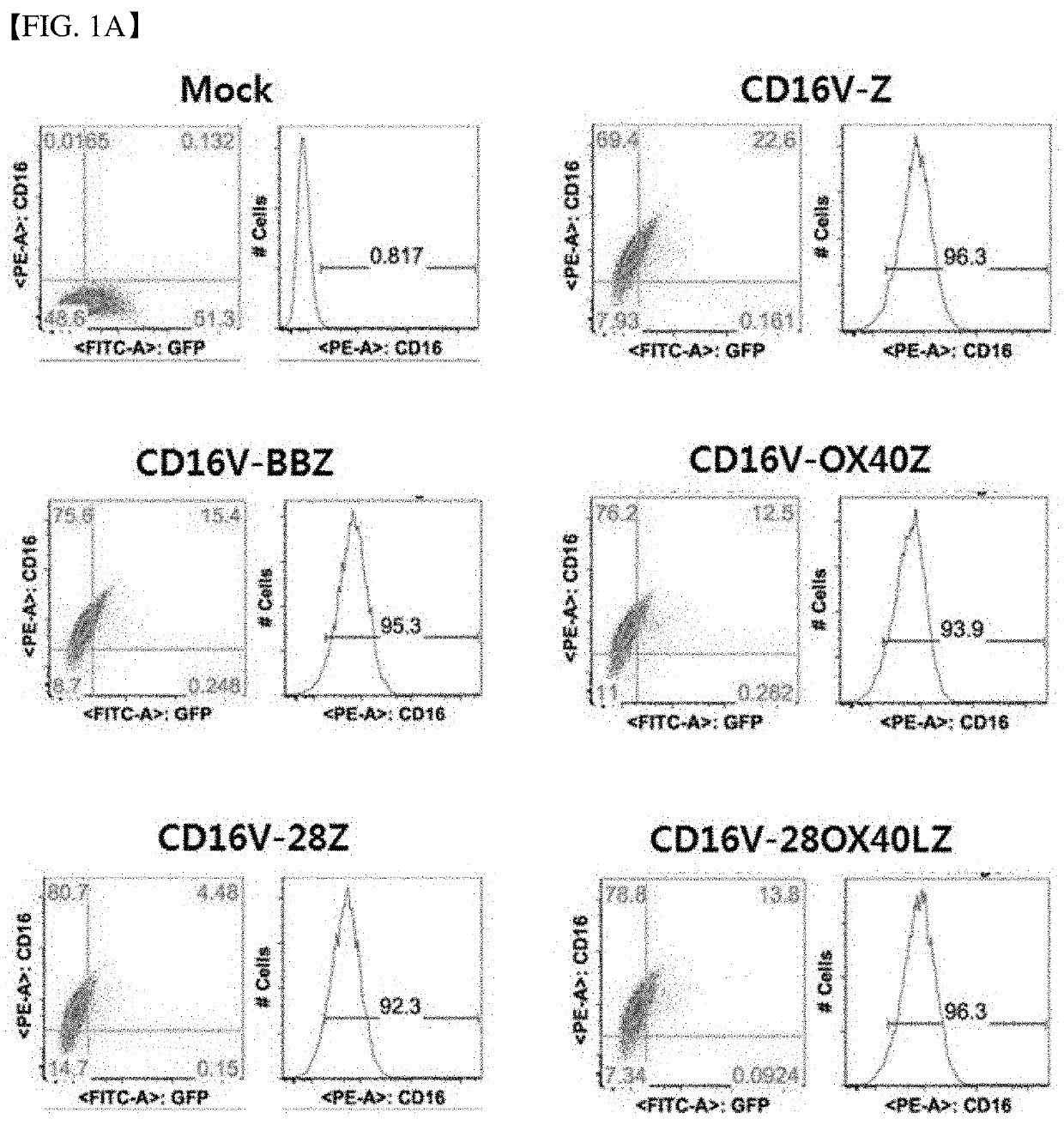 Chimeric antigen receptor and natural killer cells expressing same