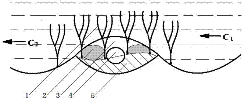 A method of using bionic aquatic plants to cover suspended submarine pipelines