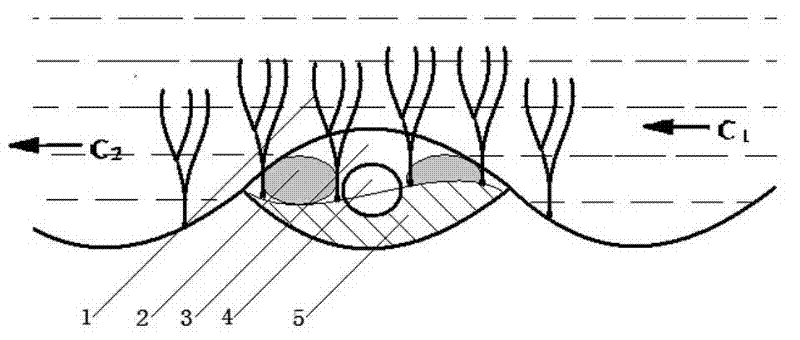 A method of using bionic aquatic plants to cover suspended submarine pipelines