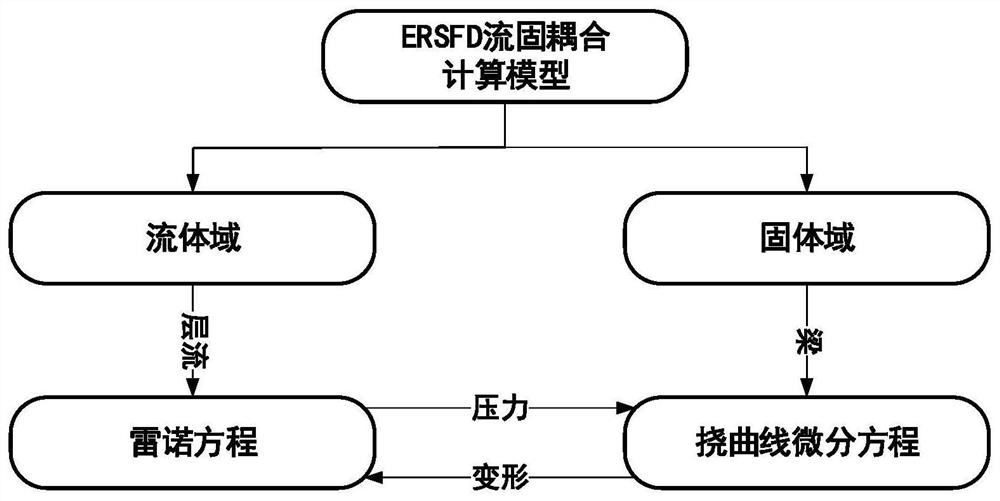 Fluid-solid coupling calculation model of elastic ring type squeeze film damper