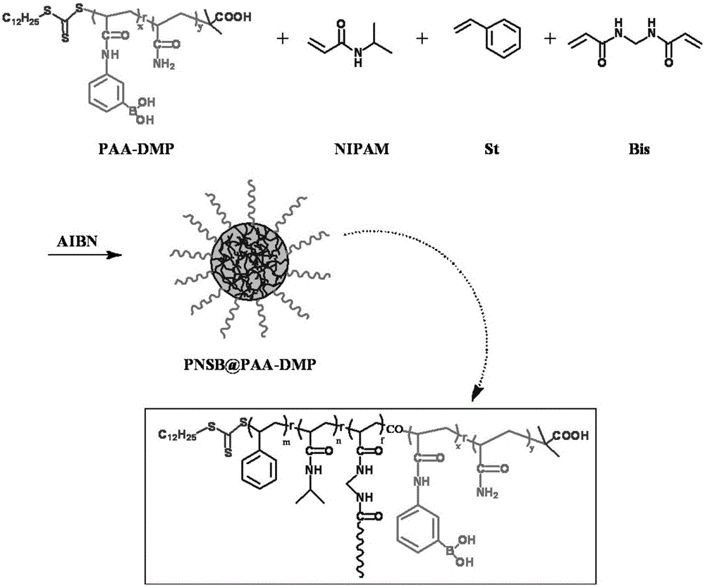 Temperature response type core cross-linked star polymer with glycoprotein enriching effect and preparation method thereof