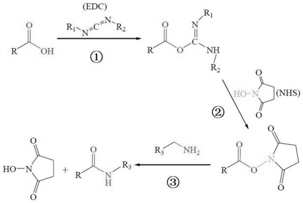 Polyamide nanofiltration membrane as well as preparation method and application thereof