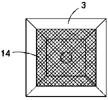 Incubator for flower seed planting