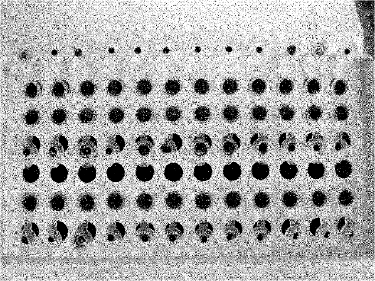 Mycobacterium tuberculosis medicament sensitive phenotype detection method and application of method