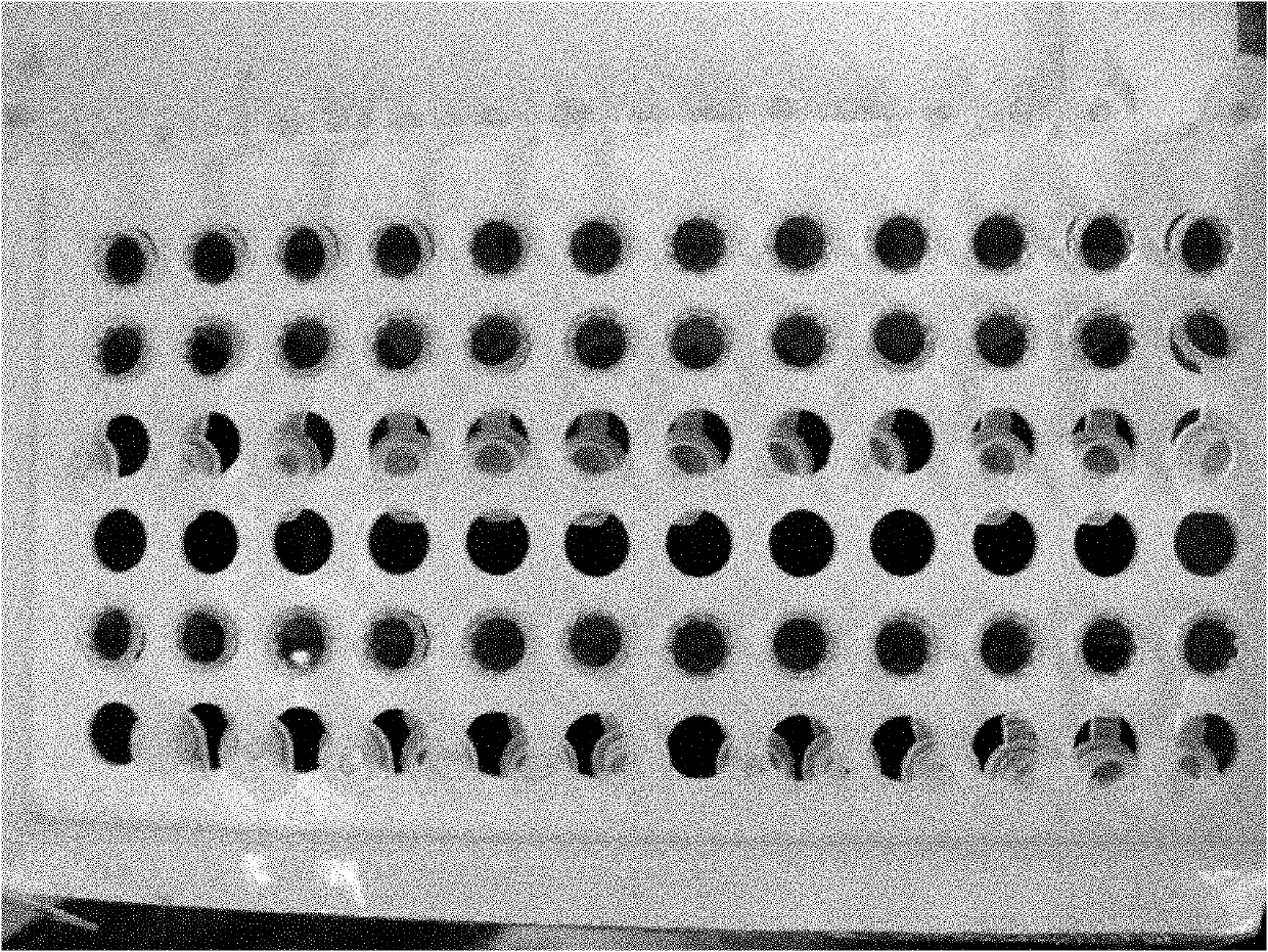 Mycobacterium tuberculosis medicament sensitive phenotype detection method and application of method